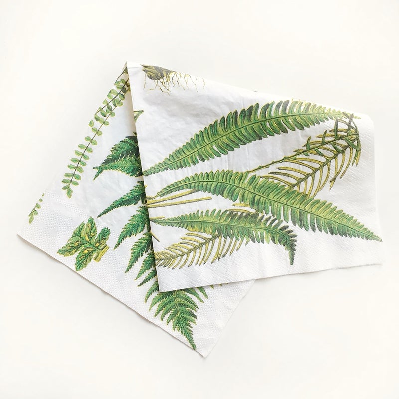 Zelten Colored Paper Napkins (Fern) - Image 3
